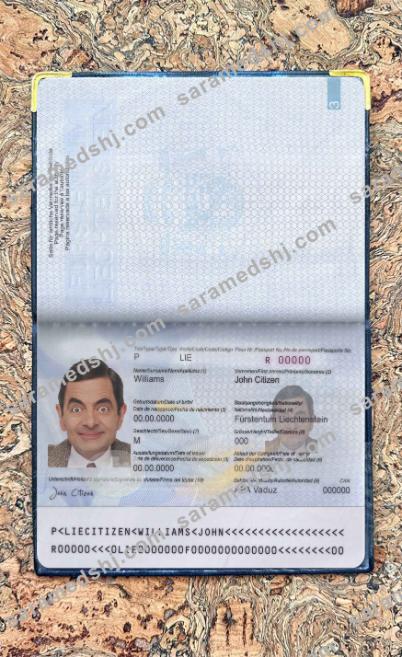 Liechtenstein pass photo look